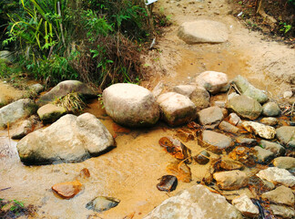 stones in the stream