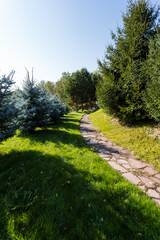 There is a beautiful path meandering through the park, elegantly enveloped by lush green trees and soft grass all around, creating a serene atmosphere for walking and enjoying nature