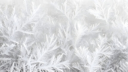 Winter frost patterns on glass. Ice crystals or cold winter background