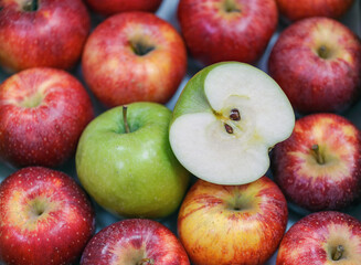 Red apples with one green apple and a half cut apple revealing the seeds. Contrast between the red and green apples, along with the cross section of the cut apple makes this image visually interesting