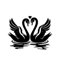 Fototapeta premium Romantic Black Swans Facing Each Other in Silhouette, Elegant silhouette of two black swans facing each other, wings spread, reflecting love and unity on calm waters. 