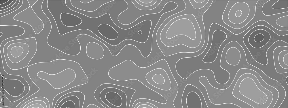 Fototapete white paper wave curve relief geometric wave grid line background. wavy topographic map and curved l