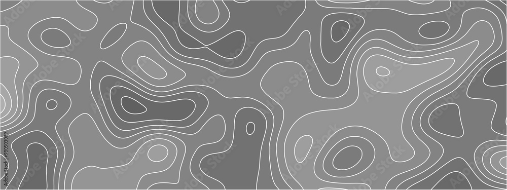 Poster White paper wave curve relief geometric wave grid line background. wavy topographic map and curved lines. Papercut decoration textured with wavy layers. Gray white topographic map.