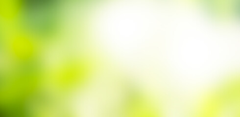Obraz premium Green nature background bokeh leaf nature summer springtime blur sunlight natural fresh foliage environment ecosystem zero carbon envergy change backdrop, mockup product aesthetic beauty organic.