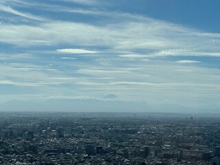 Obraz premium 東京から見た富士山