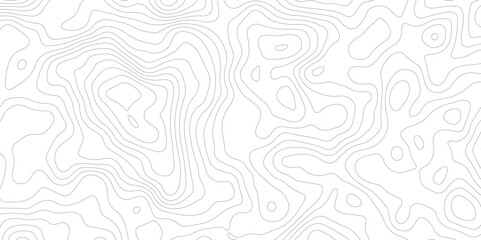 Abstract white and grey topography pattern. geographic relief lines. Seamless pattern