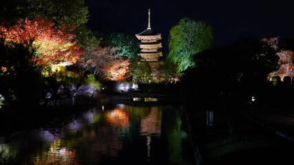 Kyoto Toji Temple autumn foliage illumination and special night viewing