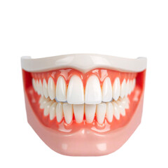 Obraz premium teeth isolated on white background