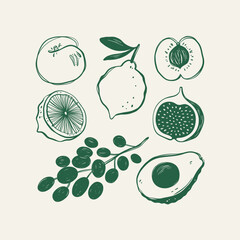 Retro style collection of different fruits. Kitchen Wall art.