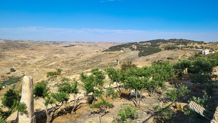 A view of the greenery around Mount Nebo on the left side is a large rock which is also the Promised Land that Moses traveled through in the Old Testament.