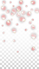 Ver34__pPetal2.eps