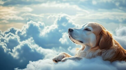 A dog in heaven in the clouds in paradise after death happy resting eternal life of the soul White Angel generated ai