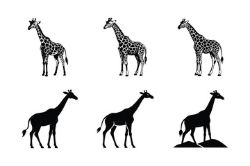 Collection of Giraffe logo set icons silhouettes vector isolated