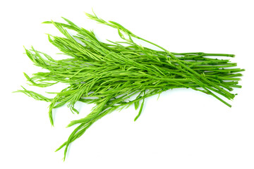 Heap of fresh Senegalia pennata (Acacia pennata) leaves or Cha-om in Thai, isolated on white background top view flat lay, focus stacking
