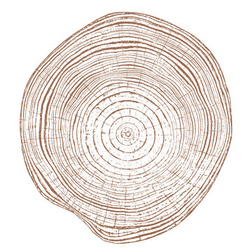 Wood tree ring texture circle grain pattern brown natural organic