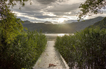 Jetty on the reeds at Lake Lugano.