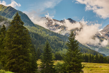 Grossglockner. Serpentine alpine road viewpoint. Green forest and waterfall. Austria