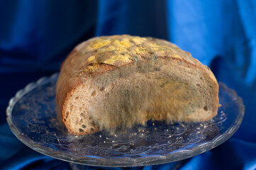 Rotten bread on decorated glass serving tray