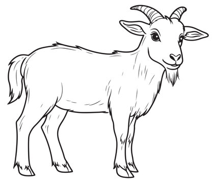 recommend clip art: Goat on a white background goat art line coloring page 
