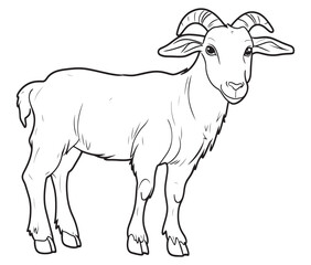 Goat on a white background goat art line coloring page 