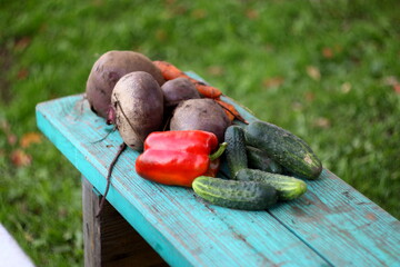 vegetables on a wooden table