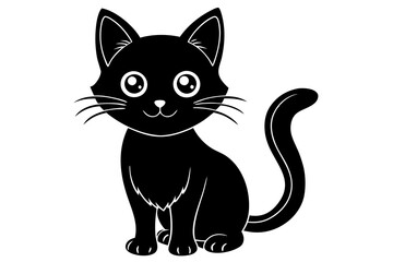 black and white cat