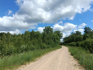 Road in forest in Siauliai county during sunny summer day. Oak and birch tree woodland. Sunny day with white clouds in blue sky. Bushes are growing in woods. Sandy road. Nature. Summer season. Miskas.