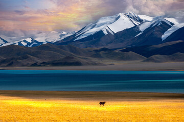 Mountains and lakes in the Xinjiang Plateau of China, and grassland and pasture scenery in autumn