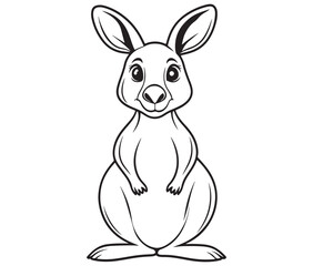  Cartoon kangaroo illustration vector