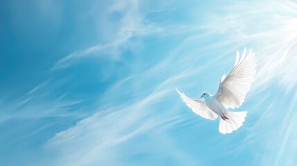 White dove soaring in blue sky symbolizing peace and freedom.