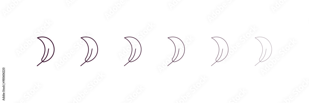 Poster falcate outline icon. linear vector from nature concept. 6 different line style falcate icon include