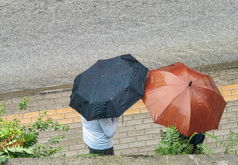 Secret Conversation, Under Umbrellas: Two Men Meeting on a Rainy Day.