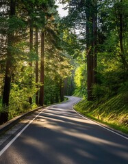 Fototapeta premium Winding road through a forest