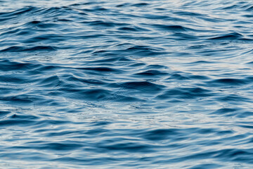 golden sunset sun rays reflected in sea waves