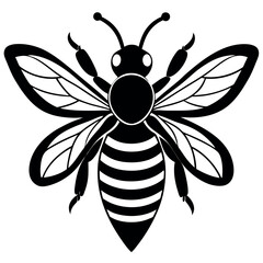 Asian giant hornet bee vector illustration.
