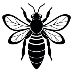Asian giant hornet bee vector illustration.
