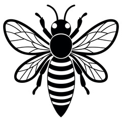 Asian giant hornet bee vector illustration.