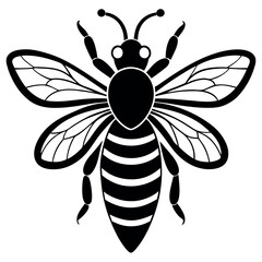 Asian giant hornet bee vector illustration.
