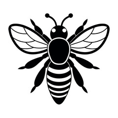 Asian giant hornet bee vector illustration.