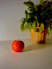 kreatywe zdjęcia zrobione rzez kamerę w jakości 4k .