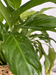 kreatywe zdjęcia zrobione rzez kamerę w jakości 4k .