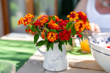 Chrysanthemen Blumenstrauß in einer kleinen Kanne Vase auf einem mit Fliesen gedeckten Tisch in mediterranen Ambiente