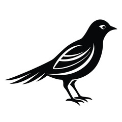 Obraz premium bird silhouette design vector