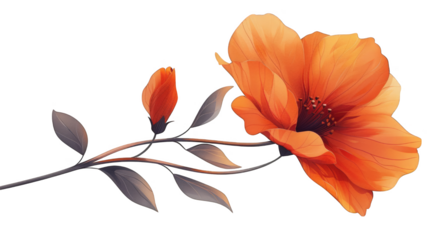 A beautiful orange flower with a bud on a branch. The flower is in full bloom and the bud is just starting to open. The leaves are a deep green and the stem is brown. This image represents nature and 