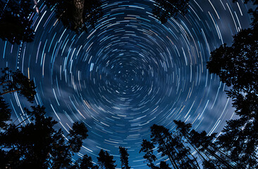 Night starry sky, silhouettes of trees, star trails forming a circle, blue background