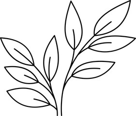 Hand drawn leaves outline illustration