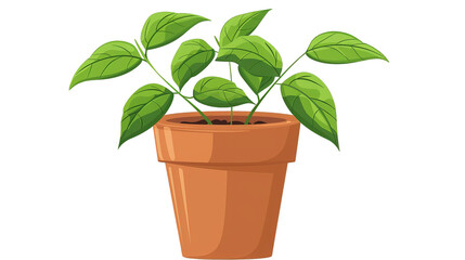 Fototapeta premium A small green plant growing in a terracotta pot, illustrating life and growth.