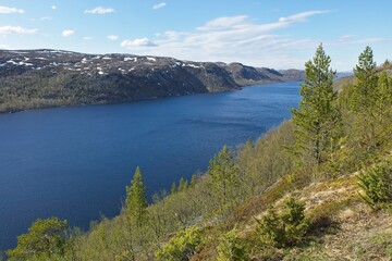 Fototapeta premium View of langfjord along Svanvikveien road in sunny spring weather with clouds in the sky, Norway.