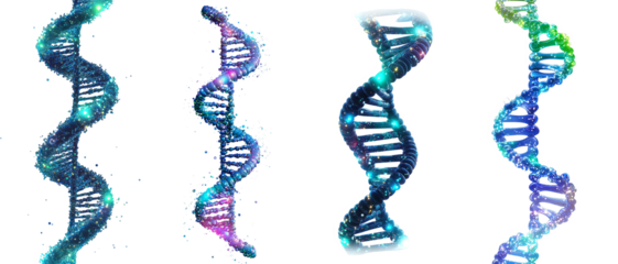 Colorful abstract DNA strands with vibrant designs detailed transparent background