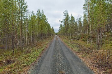 Obraz premium Gravel road and forest view at Ovre Pasvik National Park on a cloudy spring day, Norway.